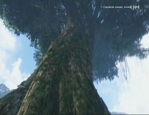 L’arbre dans Avatar de John Cameron.