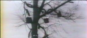 Photogramme - Arbre 11 : Andreï Roublev, Plan  358.  L'arbre et les chaudrons métalliques en feu.