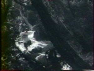 Photogramme - Arbre 9 : L'Intendant Sancho, Zuchio sautant à cloche-pied sur un tronc d'arbre abattu.