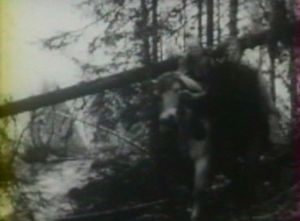 Photogramme - Arbre 13 : La Source, Plan 180.  Karin, baisse la tête pour passer avec son cheval sous un arbre abattu.