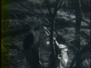 Photogramme - Arbre 10 : L'Intendant Sancho, Anju et Zuchio qui arrachent une branche d'un arbre.