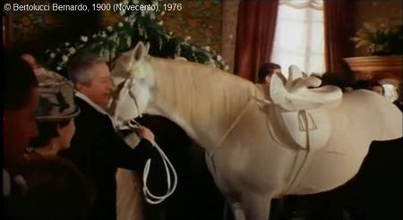 Novecento, le cheval blanc, Cocaïne, dans le salon des Berlingieri.