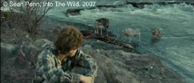  Photogramme 59  :  Into The Wild,  Plan 1230. Il retourne sur le lieu de la « tragédie ». Il s'assied sur un rocher, et derrière lui, des loups commençaient à manger les morceaux de viande.