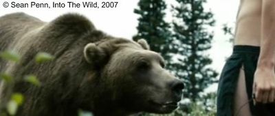  Photogramme 96  :  Into The Wild,  plan 1660. L'ours s'approche et flaire Christopher pétrifié. Et puis, il se retourne et s'en va.