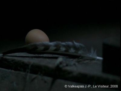  Le Visiteur, (Muukalainen). Photogramme œuf  15, plan 39, dans sa cachette, l'Enfant va disposer l'œuf à côté de la plume striée. Soulignons qu'il dispose les objets de droite à gauche.