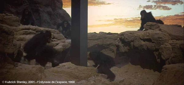 2001, L'Odyssée de l'espace. La tribu d'australopithèques qui découvre le monolithe noir. Des membres de la tribu osent le toucher.
