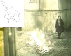 Photogramme - Feu 7 : Miroir (Le), Plan 124. Le feu qui brûle, ne serait-il pas une représentation symbolique du mythe du phénix ? (Cf. la vignette.)